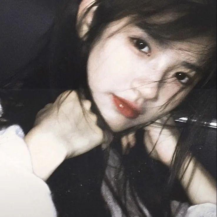 间谍的灵魂国语